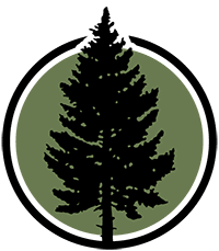 conifer tree silhouette icon