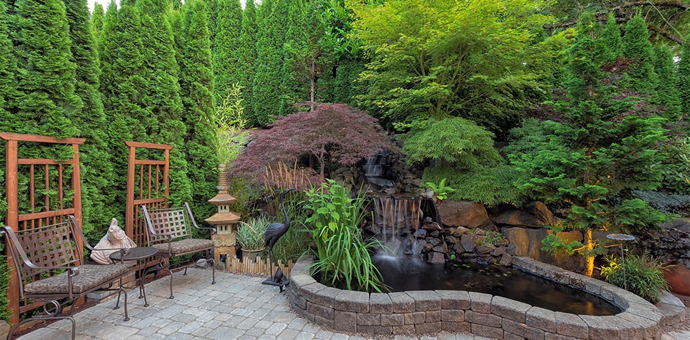 Backyard landscape with patio and trees