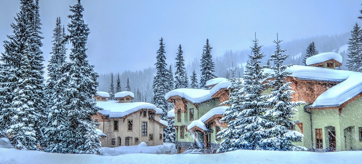 Snow covered trees and condo buildings