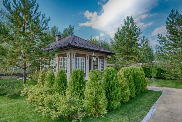 Landscape of a property with trimmed trees and shrubs